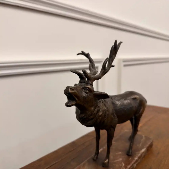 Buy Bronze Red Deer Sculpture? - Wide selection!, Chesterfield (photo 5 of 8)