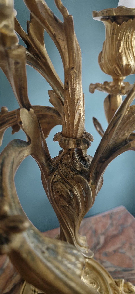 Image 1 of Pair of gilt bronze candelabra – Louis XV style – 19th century