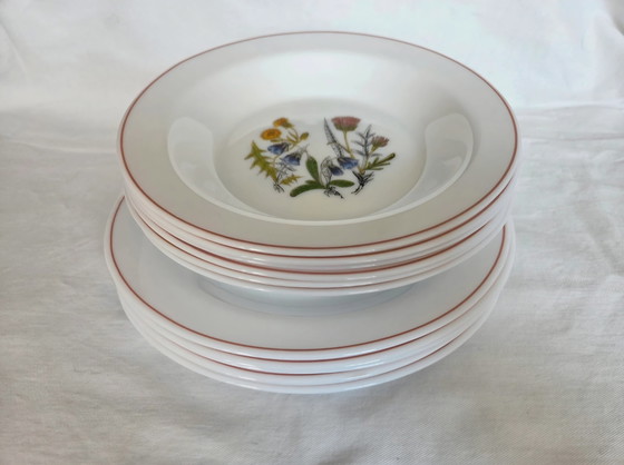 12-Piece Plates (6 + 6), Opal Glass/Milk Glass – Arcopal France, Crockery, Porcelain (photo 3 of 9)