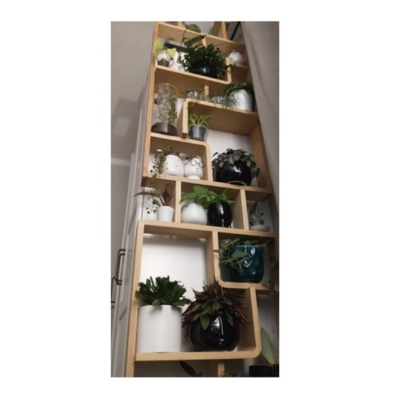 Image 1 of Two Ludvik Volak shelving partitions in curved beech wood