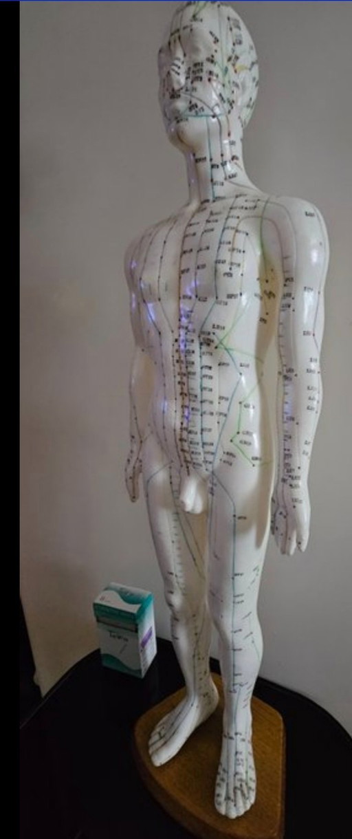 acupuncture manikin 1970s