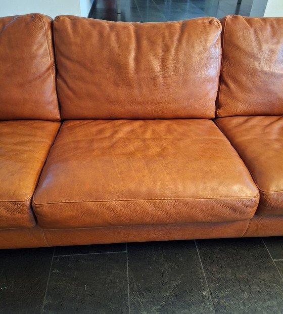 Image 1 of Classic Molinari leather sofa