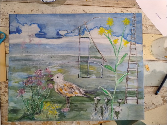 Image 1 of Gaviota joven