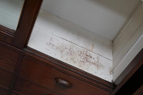 Image 1 of Grand meuble d'apothicaire/vitrine ancien belge en pin pitchpin, vers 1900