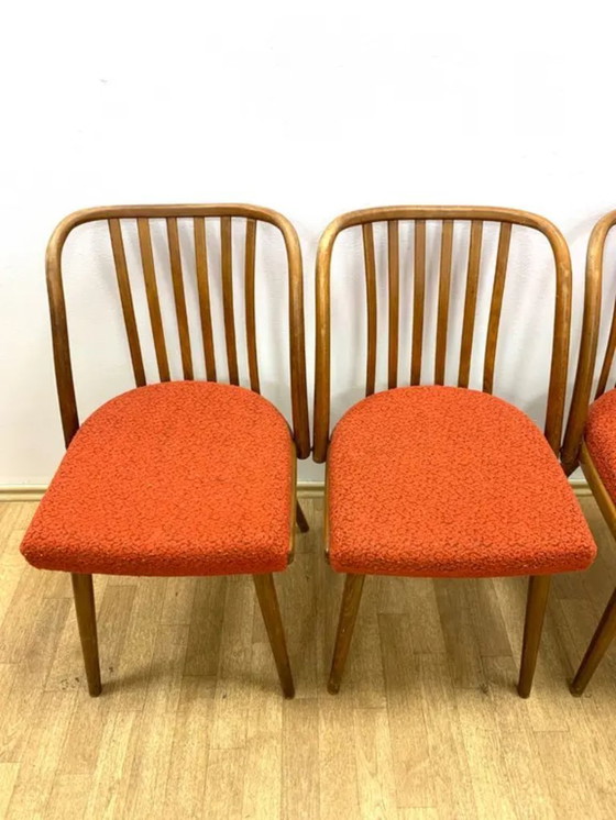 Image 1 of Set of 4 Chairs, TON by A. Šuman, 1960s, Czechoslovakia