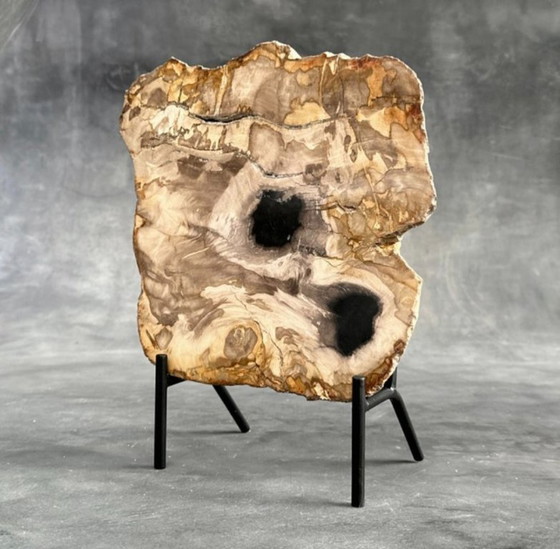 Image 1 of Bois fossilisé de Sooka, fabrication sur mesure standard (neuf)