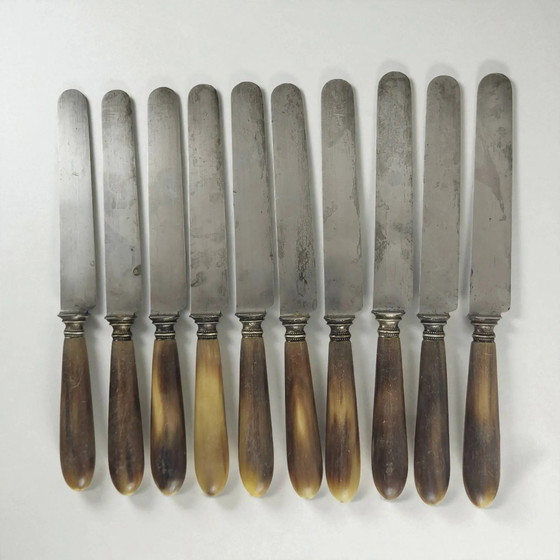 11 Coltelli Corno e Acciaio TD Paris – Set di posate, polished steel, Art Deco (photo 6 of 8)