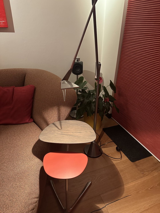 Image 1 of Lampadaire - Lumina "Zelig Terra" par Walter Monici