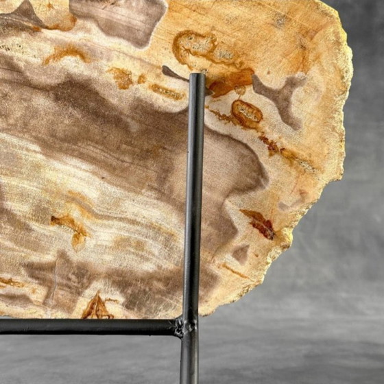 Image 1 of Madera fosilizada de Sooka, estándar a medida (nuevo)