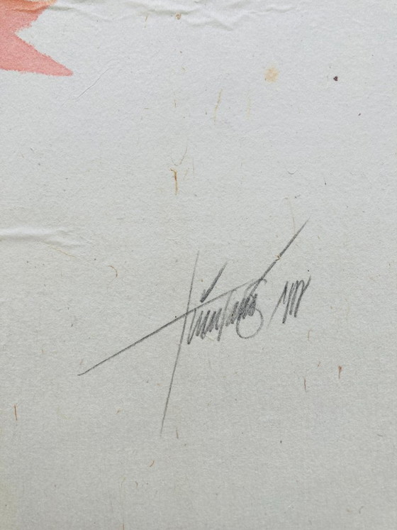 Image 1 of Pesce ad acquerello vintage - Dentice rosso