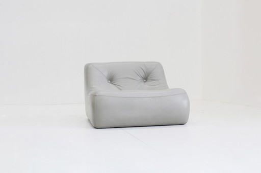 Kali Design Fauteuil Ligne Roset Michel Ducaroy Grijs Leder