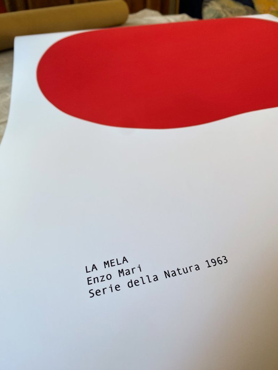 Image 1 of LA MELA Enzo Mari - Serie della Natura 1963 - Poster 50 x 70 cm