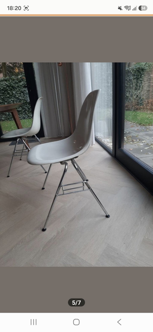 Sedie in fibra di vetro Original Eames