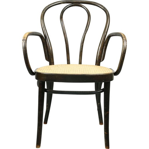 Breiter Vintage-Stuhl Nr. 218 von Michael Thonet