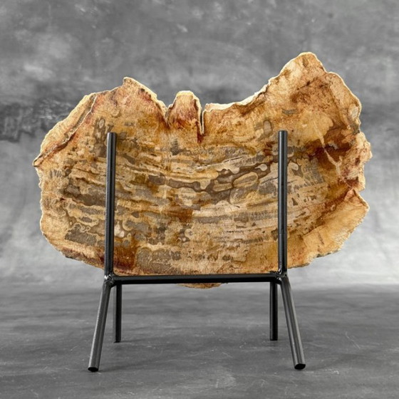 Image 1 of Madera fosilizada de Sooka, soporte hecho a medida (nuevo)