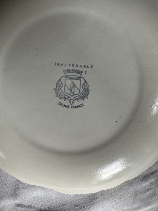 Service Salins poisson 