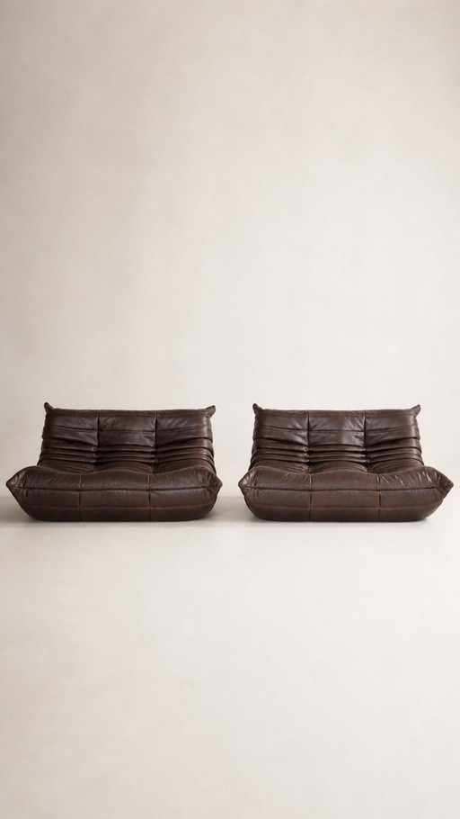 Zweisitzer-Sofas von Michel Ducaroy / Ligne Roset, braunes Leder