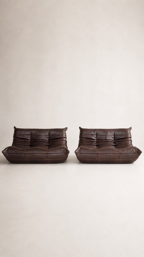 Image 1 of Zweisitzer-Sofas von Michel Ducaroy / Ligne Roset, braunes Leder