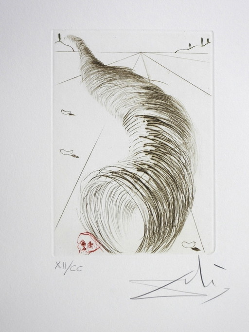 Salvador Dali (1904-1989) - Timon Of Athens