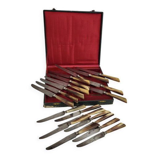 20 Tafelmesser mit Stahlklingen und Horngriffen