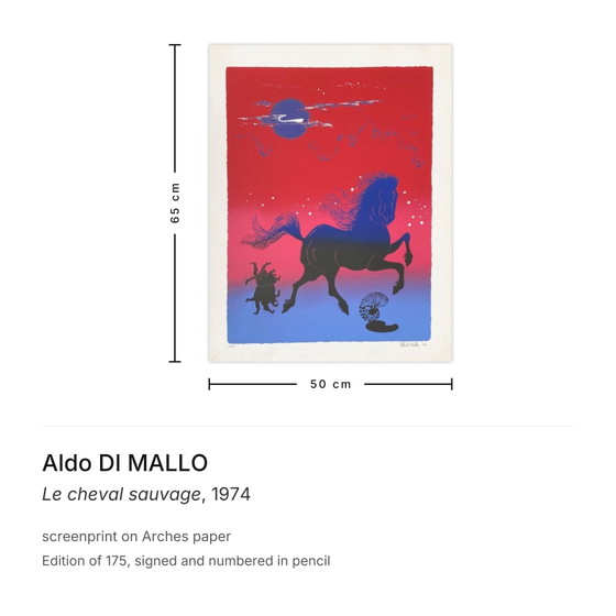 Aldo Di Mallo Sérigraphie Signée Le Cheval Sauvage 1974 – Lithographies et sérigraphies, Paper (photo 3 of 5)
