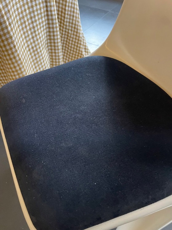 Image 1 of 5 sedie Casala Casalino – Alexander Begge (2001) – Vintage Design Classic