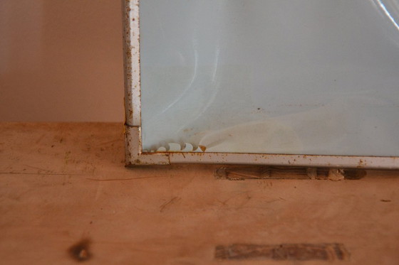 Image 1 of Unieke Vintage  - oude schoolplaat bloemen - oude Duitse schoolkaart - schoolplaat botanica - planten - biologie - plasticplaat