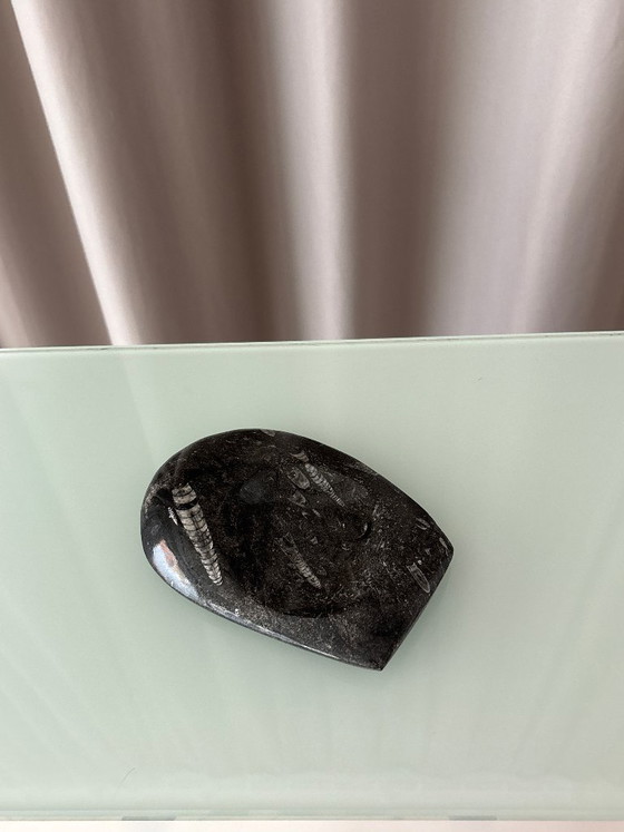 Vintage Black Orthoceras Fossil Stone Dish, Polished Natural Stone, Bowls, Marble (photo 3 of 7)