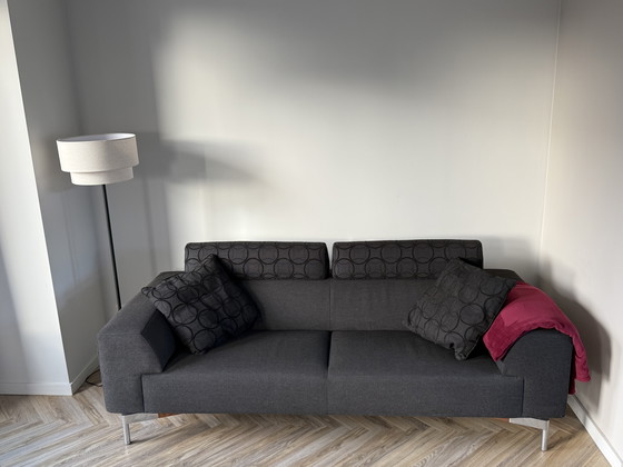 Image 1 of Leolux Howlo