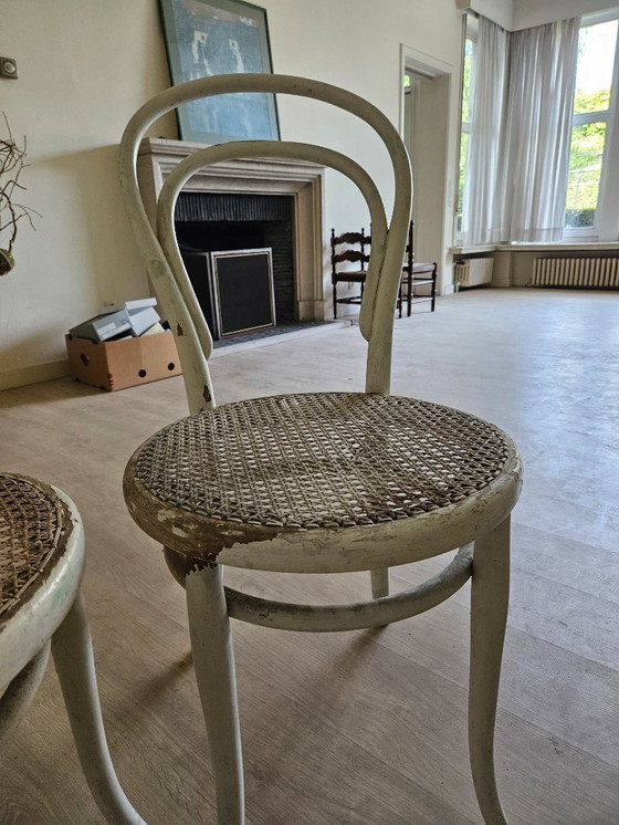 Image 1 of 2 Thonet chairs no. 14