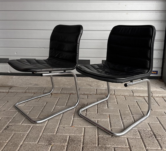 Image 1 of 4 chaises de salle à manger design Pol / Dux International