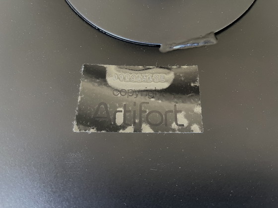 Image 1 of Artifort F504 (2 pièces disponibles)