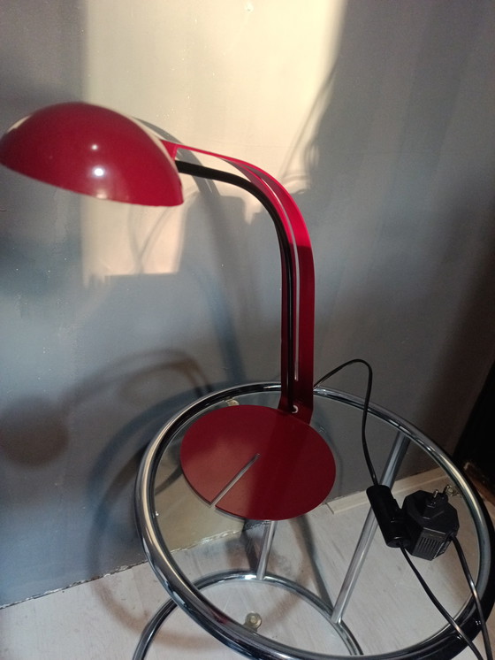 Image 1 of Herda B1412 Holland