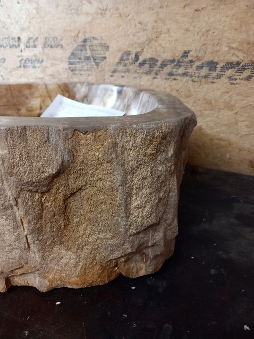Waschbecken/Spüle aus versteinertem Holz von Differentz, 39 cm Durchmesser
