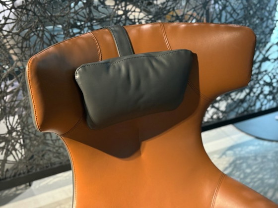 Caruzzo  en – Leolux, Fauteuils, Leather, Calfskin (photo 3 of 7)