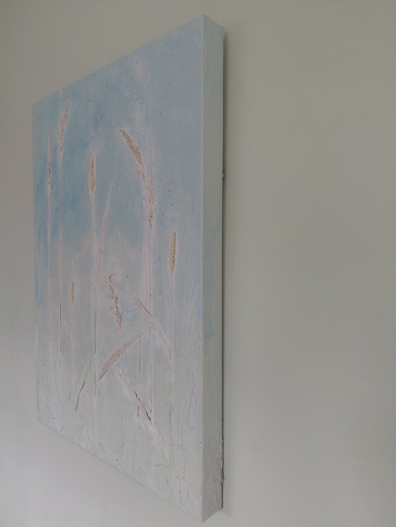 Image 1 of "Glory of Seeds" by Gallery Suncorner