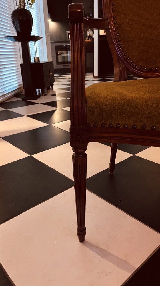 Two chairs from Hotel des Indes by designer Jacques Garcia, Armchairs, Velvet, Wood, Brown (photo 4 of 6)