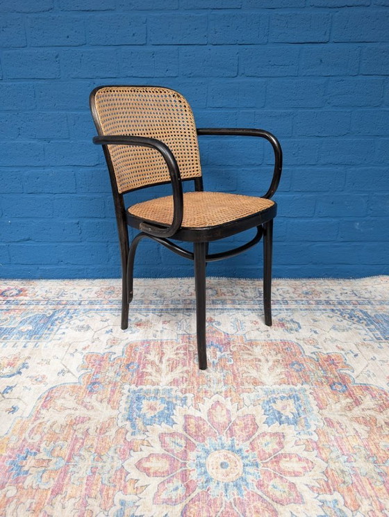 Image 1 of 5x Vintage Prague 811 chairs, Josef Hoffmann, 1960s