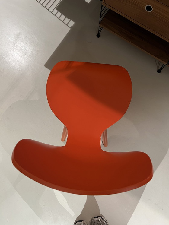 Image 1 of Chaise de salle à manger Linteloo Tulipani