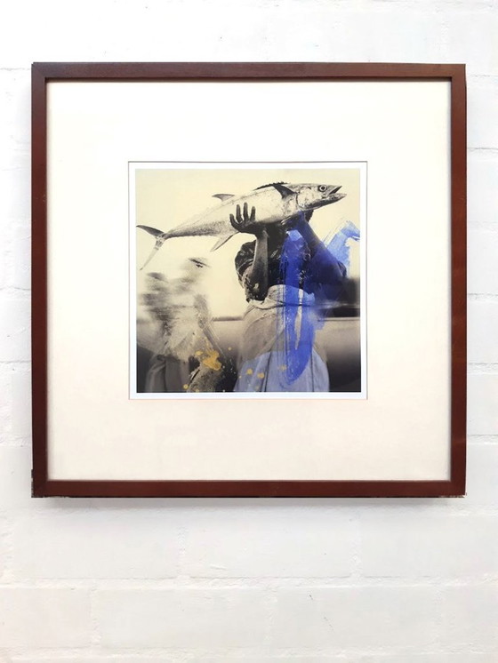 Image 1 of Donna pesce