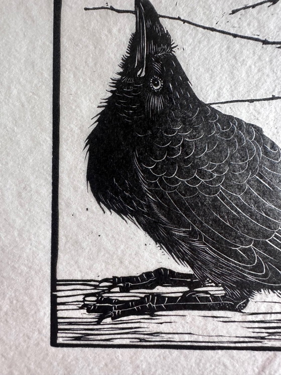 Image 1 of Jan Mankes 1889-1920 / Gravure sur bois originale Petit Corbeau regardant un moustique 1918