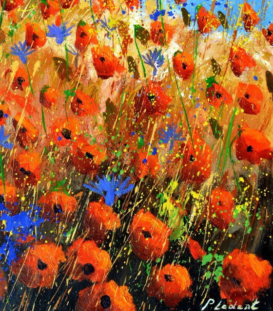 Image 1 of Red poppies