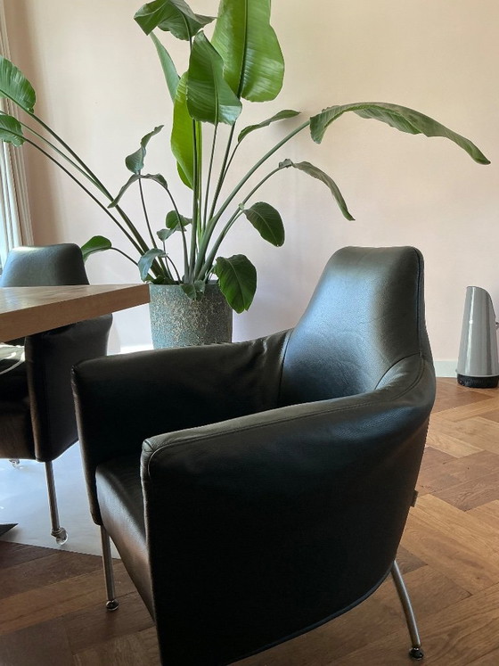 Plantation dining chairs – Bert Plantagie, Leather, Metal (photo 4 of 7)