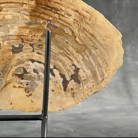 Image 1 of Madera fosilizada de Sooka, soporte hecho a medida (nuevo)