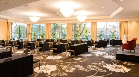 Image 1 of Grande lampadario degli anni '60 dell'iconico Hilton Hotel di Amsterdam attribuito a Seguso