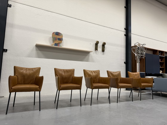 Image 1 of Sedia da pranzo Mali Vandenberg 5 Label Bovino Natural