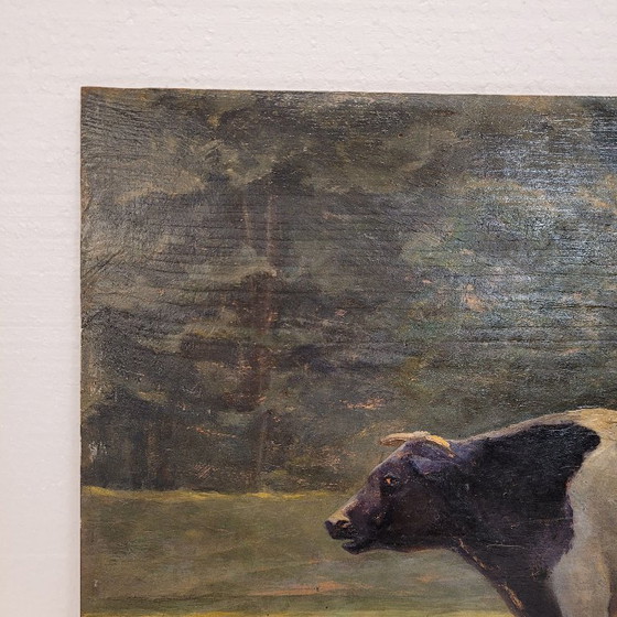 Image 1 of Oil on panel “cow”, Roger Griboval, Rouen School, 1980s – France