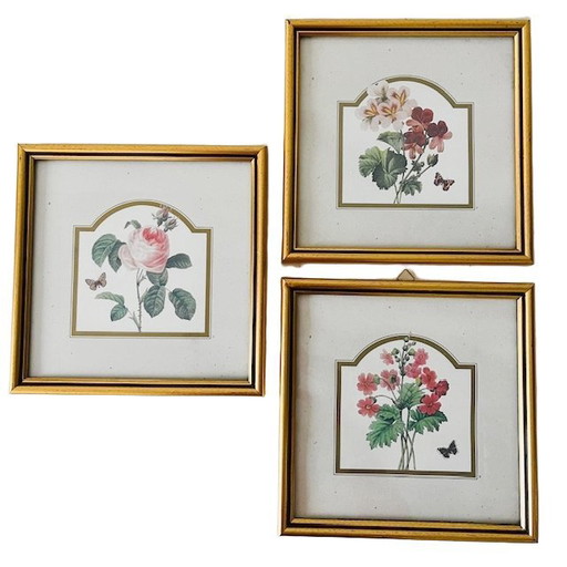 Set di pittura vintage fiori rosa