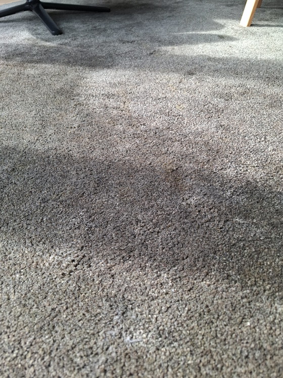 Image 1 of Alfombra Perletta