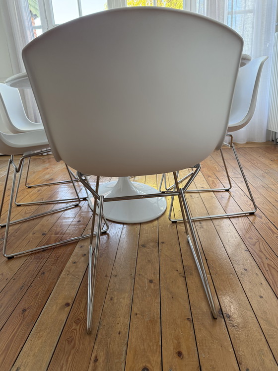 Image 1 of 6 Sillas laterales Knoll Bertoia con estructura moldeada